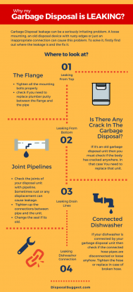 Why is My Garbage Disposal Leaking? - DisposalSuggest