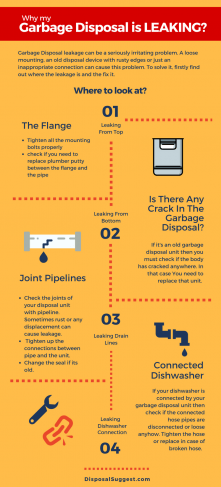 Why is My Garbage Disposal Leaking? - DisposalSuggest